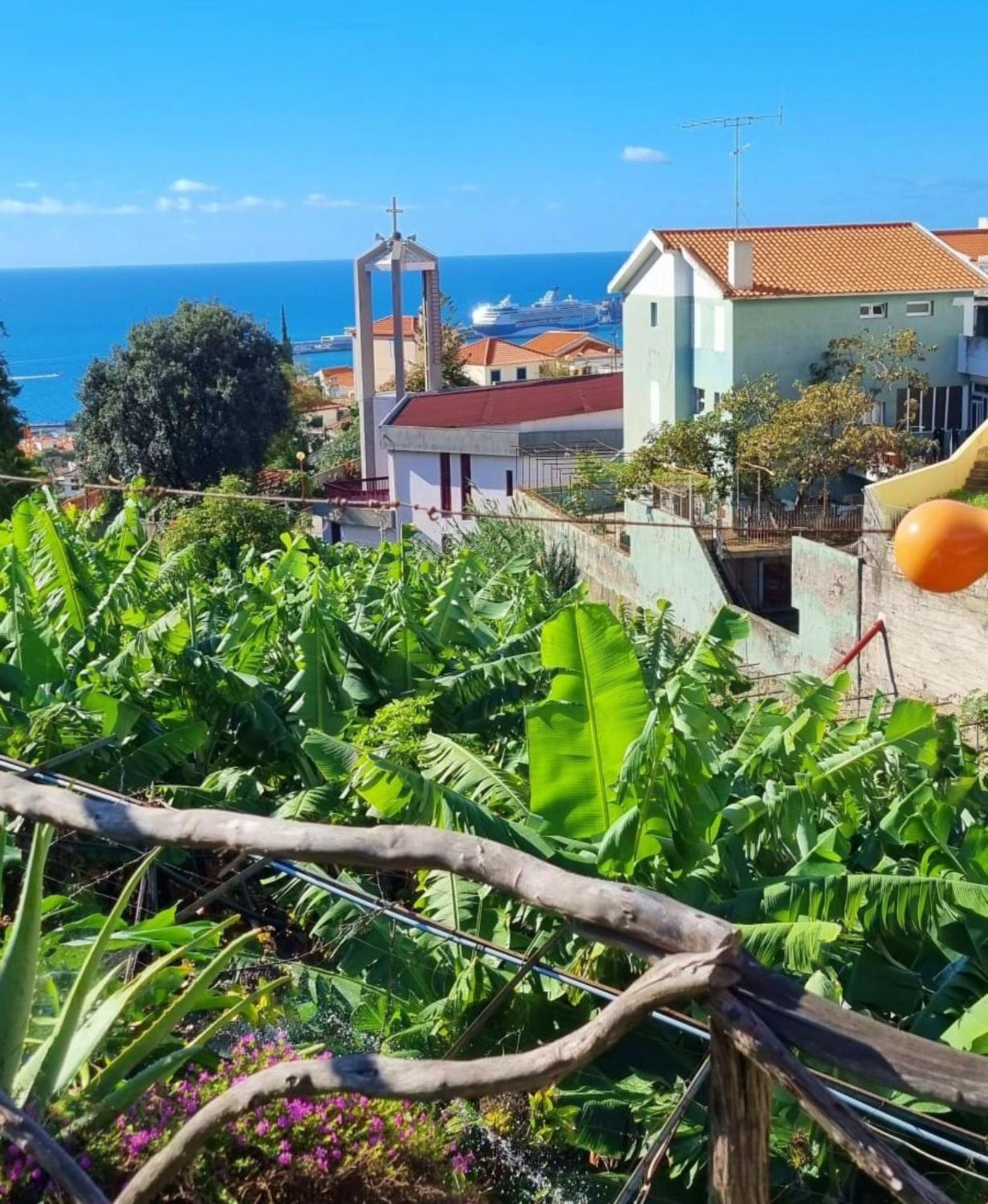 Villa Catanho Фуншал Екстериор снимка